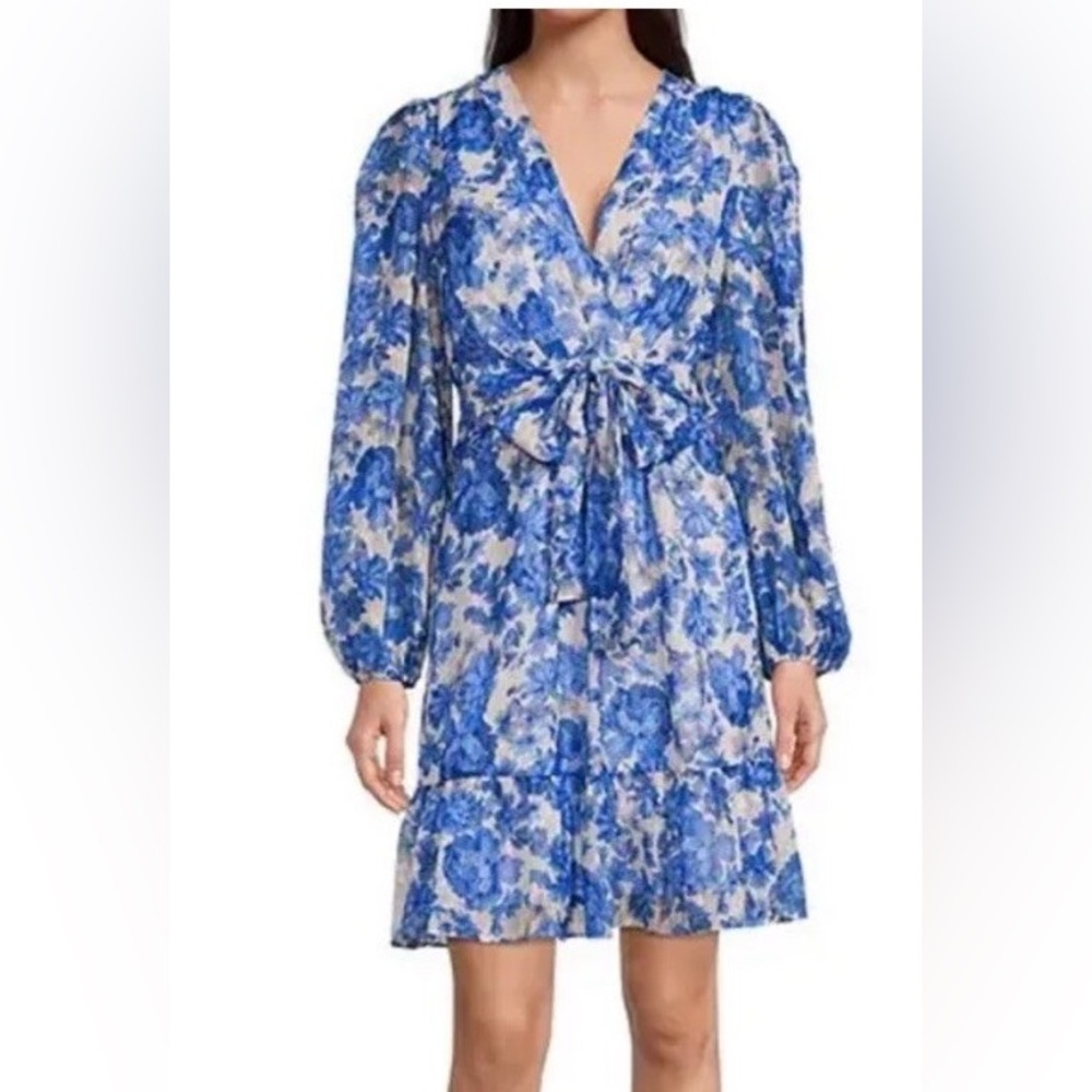 Alex Marie Blue Floral Long-Sleeve Tiered Dress